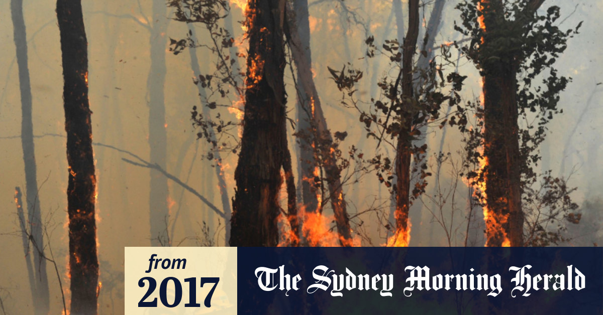 'Bastard child' Review of controversial emissions fund finds